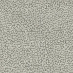 Catégorie B : RENO GRIS CLAIR